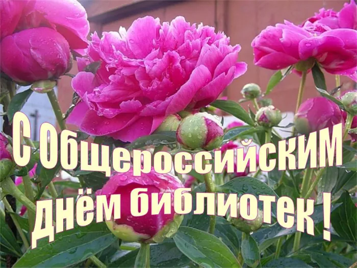 Картинки с Днем библиотек (95 открыток). Картинки с Общероссийским днем библиотек