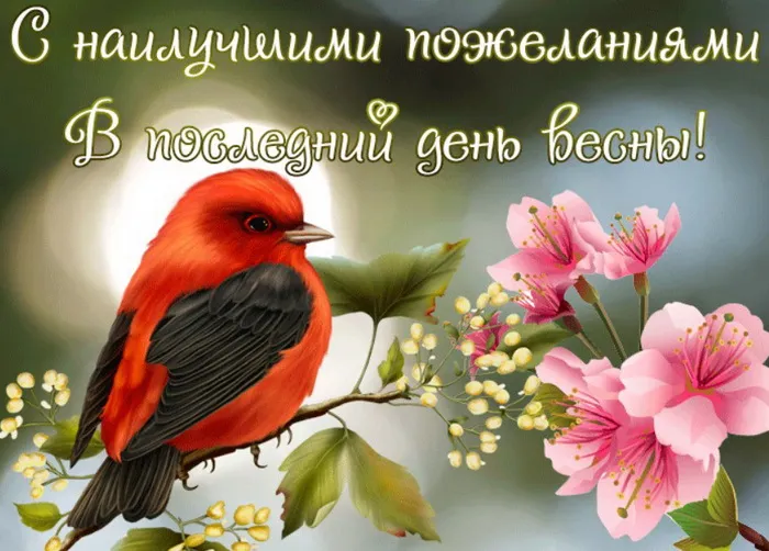 Картинки с последним днем весны . С последним днем весны