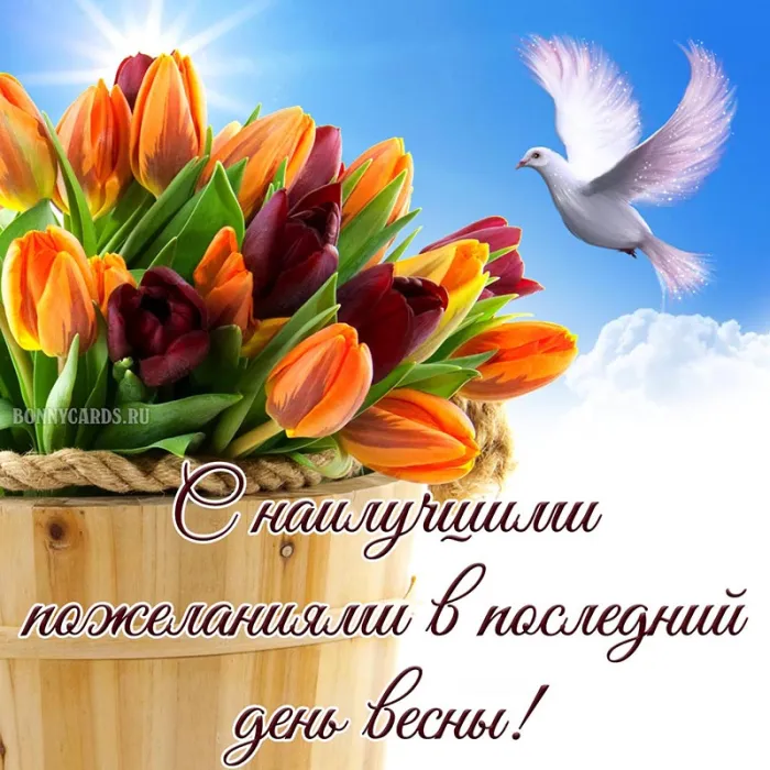 Картинки с последним днем весны . С последним днем весны