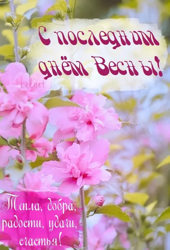 Картинки с последним днем весны . С последним днем весны