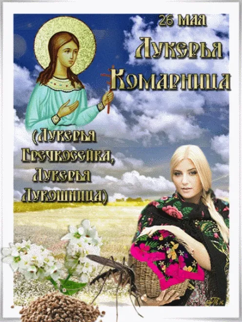 Картинки на Лукерью Комарницу (20 открыток). Картинки с надписями