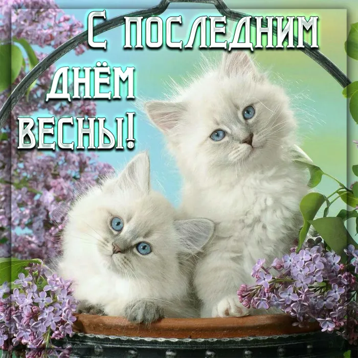 Картинки с последним днем весны . С последним днем весны