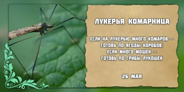 Картинки на Лукерью Комарницу (20 открыток). Картинки с надписями