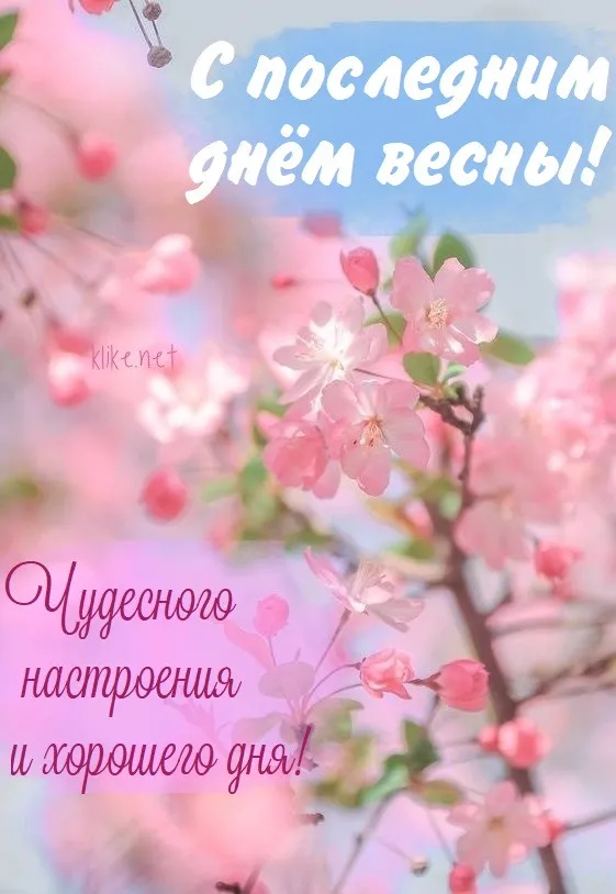 Картинки с последним днем весны . С последним днем весны