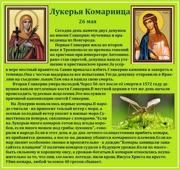 Картинки на Лукерью Комарницу (20 открыток). Картинки с надписями