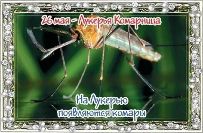 Картинки на Лукерью Комарницу (20 открыток). Картинки с надписями