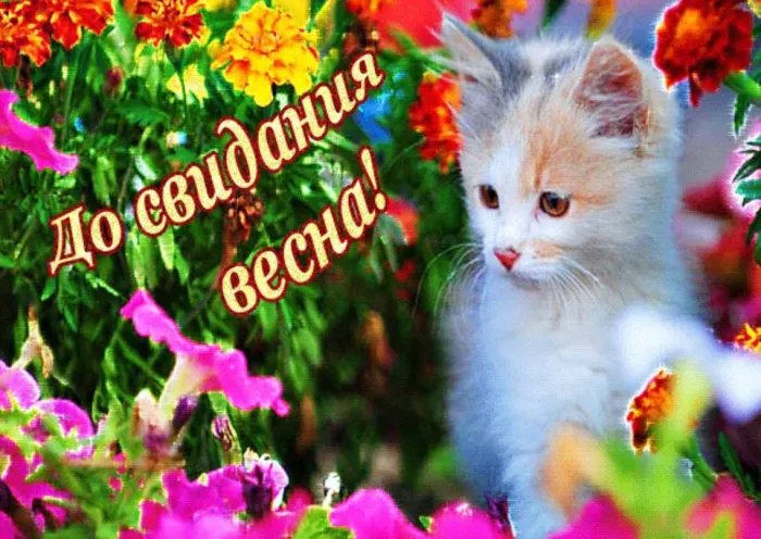 Картинки с последним днем весны . До свидания, весна!