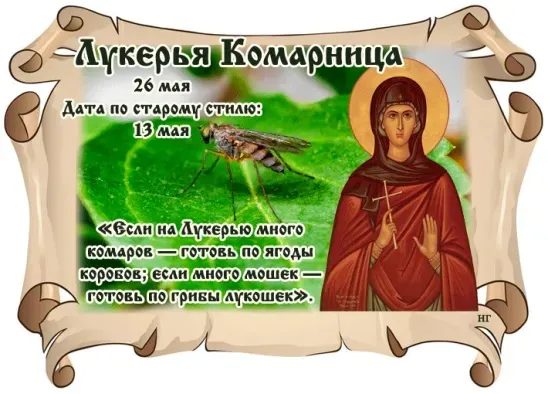 Картинки на Лукерью Комарницу (20 открыток). Картинки с надписями