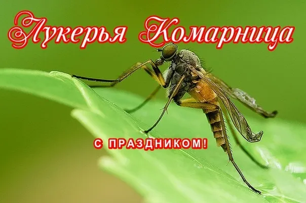 Картинки на Лукерью Комарницу (20 открыток). Картинки с надписями