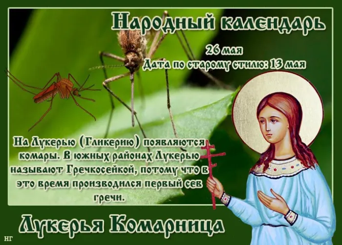 Картинки на Лукерью Комарницу (20 открыток). Картинки с надписями