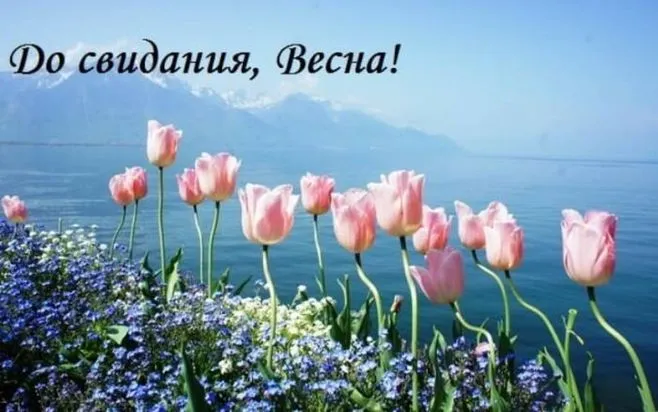 Картинки с последним днем весны . До свидания, весна!