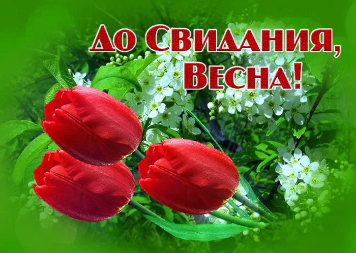 Картинки с последним днем весны . До свидания, весна!