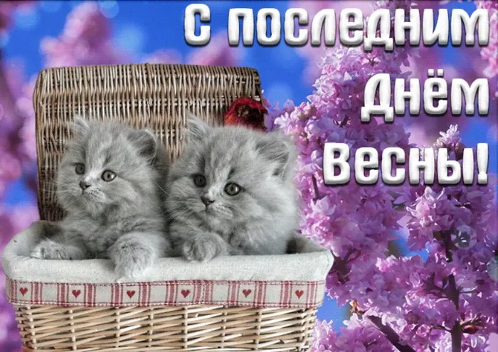 Картинки с последним днем весны . С последним днем весны