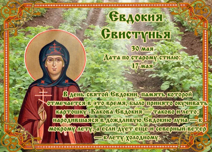 Картинки на Евдокию Свистунью (15 открыток). Открытки