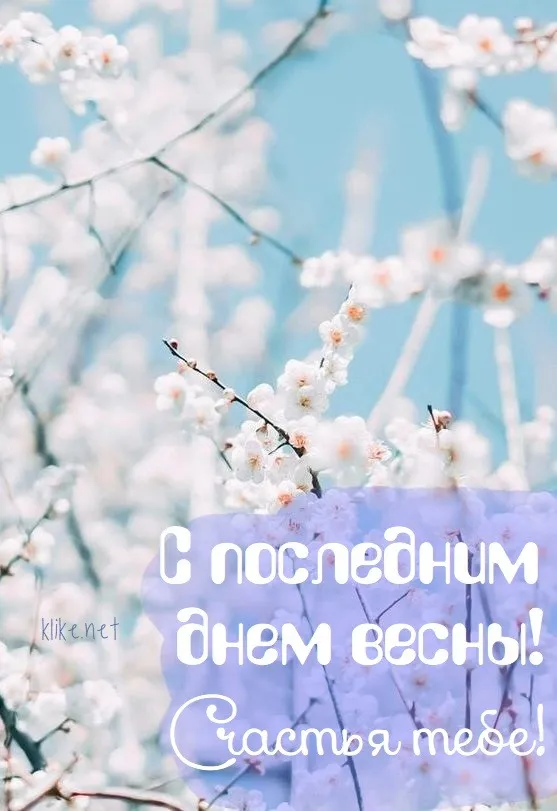 Картинки с последним днем весны . С последним днем весны