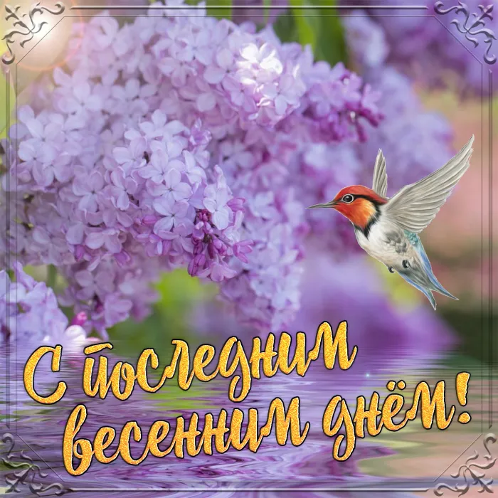 Картинки с последним днем весны . С последним весенним днем