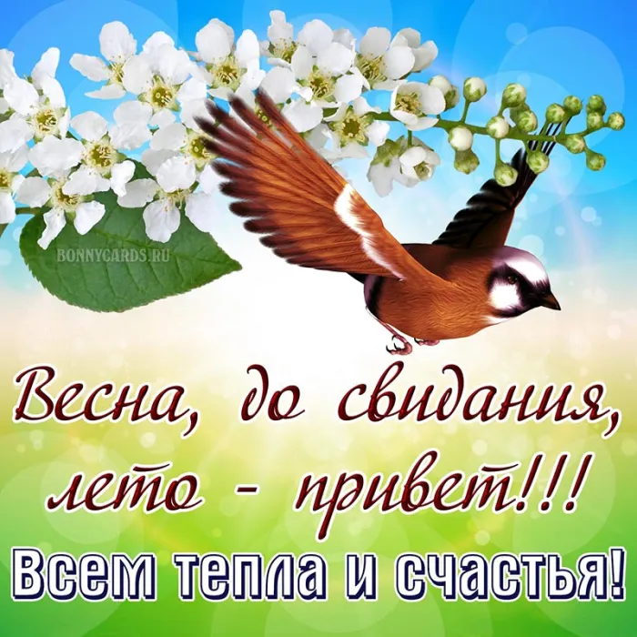 Картинки с последним днем весны . До свидания, весна!
