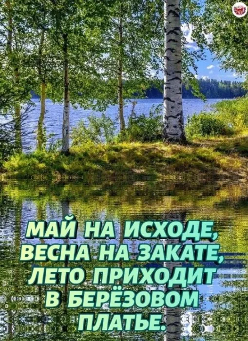 Картинки с первым днем лета (с началом лета). Красивые картинки с надписями
