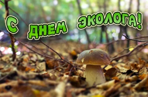 Картинки с Днем эколога (45 открыток). Картинки с надписями