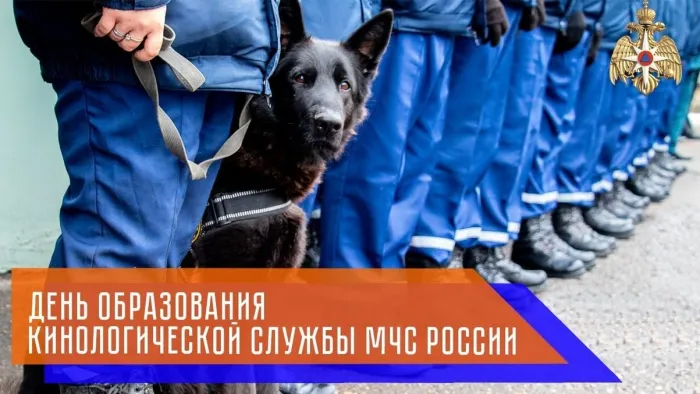 Картинки с Днем кинологических подразделений МВД России (80 открыток). Картинки с надписями с Днём кинолога