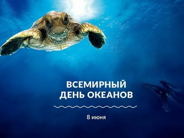 Картинки со Всемирным днем океанов (55 открыток). Красивые открытки
