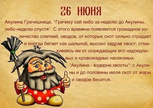 Картинки Акулина Гречишница (17 открыток). Красивые картинки с надписями