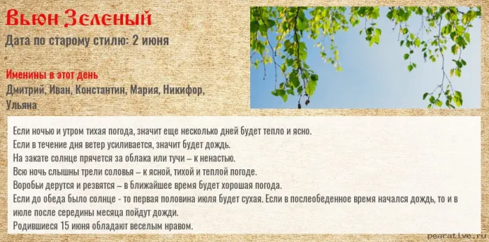 Картинки Вьюн Зеленый (11 открыток). 