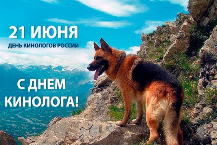 Картинки с Днем кинологических подразделений МВД России (80 открыток). Картинки с надписями с Днём кинолога
