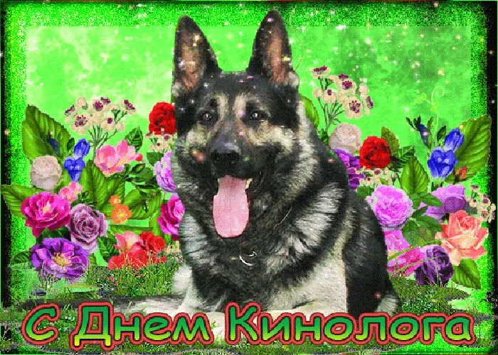 Картинки с Днем кинологических подразделений МВД России (80 открыток). Картинки с надписями с Днём кинолога