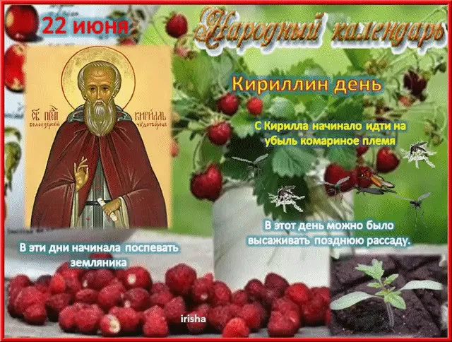 Картинки Кириллов день (23 открытки). Картинки с надписями на Кириллин день