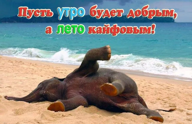 Картинки с первым днем лета (с началом лета). Красивые картинки с надписями