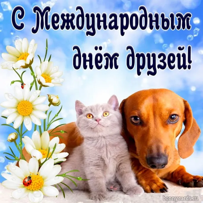 Открытки с Международным днем друзей (100+ штук). Красивые картинки с надписями