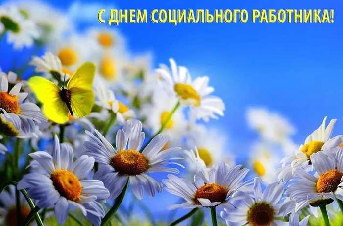 Картинки с Днем социального работника (125 открыток). Картинки с надписями