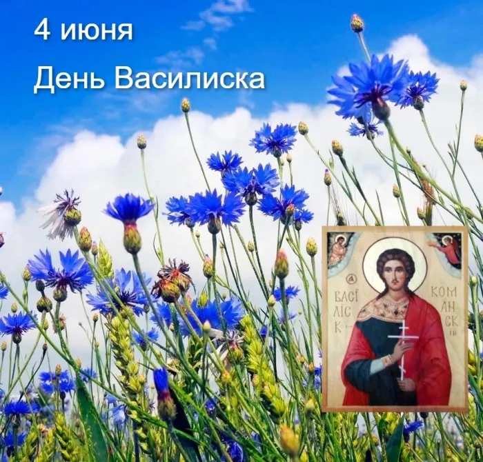 Картинки на День Василиска (12 открыток)