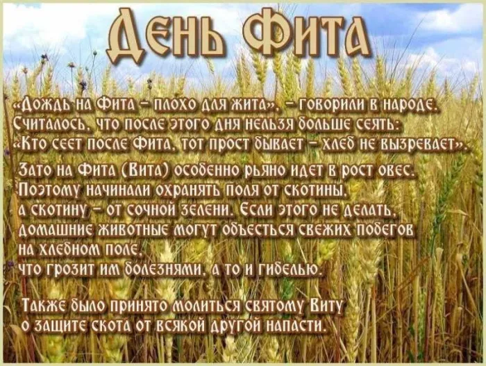 Картинки с Днем Фита (12 открыток). Красивые картинки с надписями