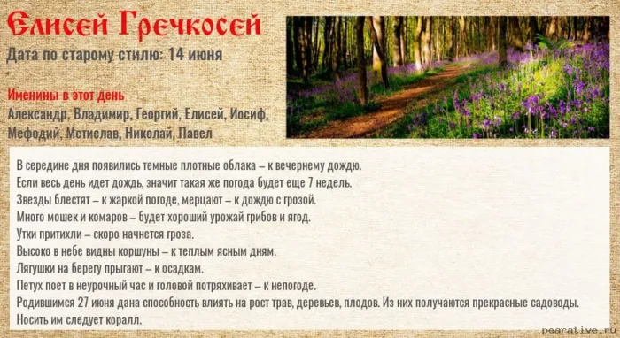 Картинки Елисей Гречкосей (16 открыток). Картинки с надписями