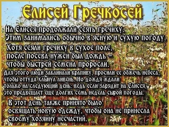 Картинки Елисей Гречкосей (16 открыток). Картинки с надписями