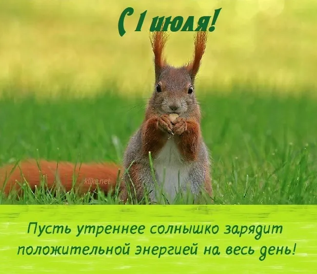 Картинки с первым днем июля (75 открыток). Картинки с надписями