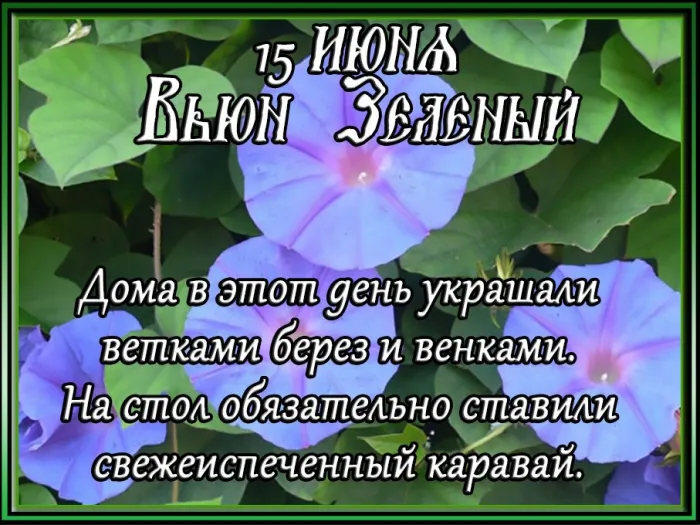 Картинки Вьюн Зеленый (11 открыток). 