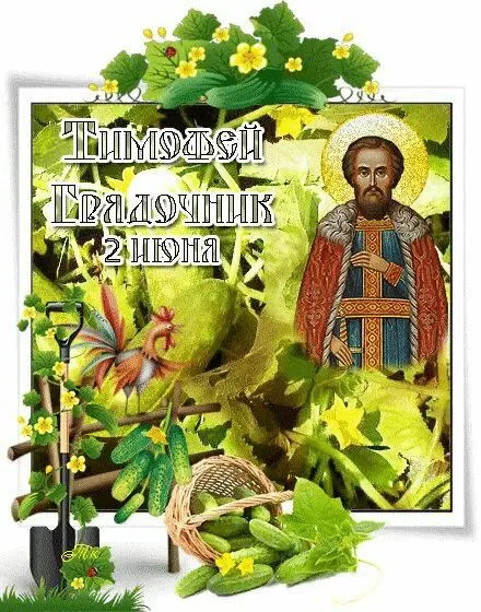Картинки Тимофей Грядочник (18 открыток). Картинки с надписями