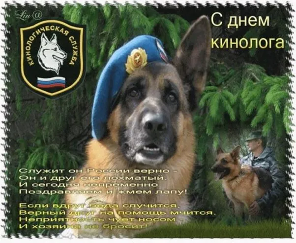 Картинки с Днем кинологических подразделений МВД России (80 открыток). Картинки с надписями с Днём кинолога