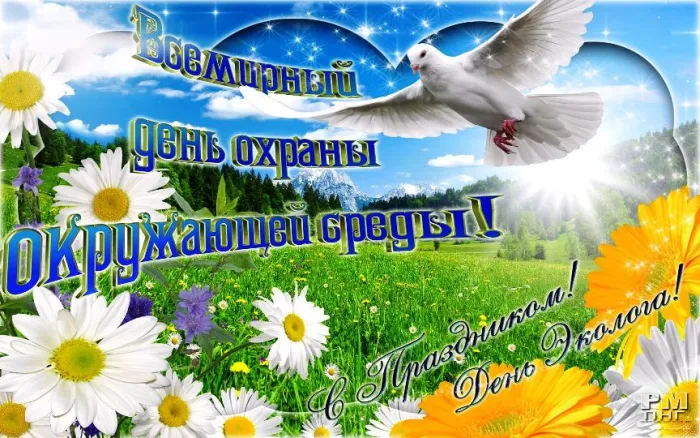 Картинки со Всемирным днем охраны окружающей среды (40 открыток). Картинки с надписями