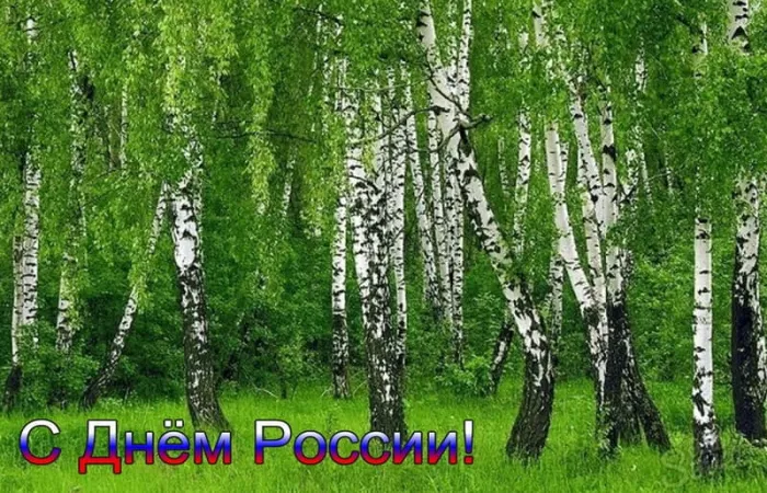 Открытки с Днем России (красивые и прикольные). Красивые картинки с Днем России