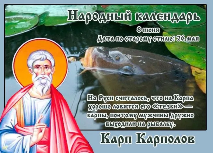 Картинки Карп Карполов (12 открыток). Картинки с надписями