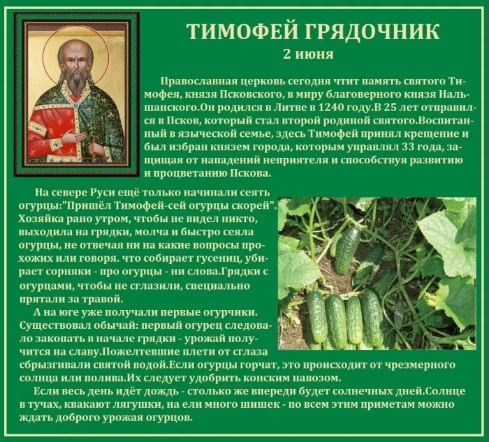 Картинки Тимофей Грядочник (18 открыток). Картинки с надписями