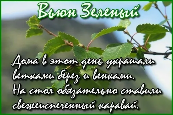 Картинки Вьюн Зеленый (11 открыток). 