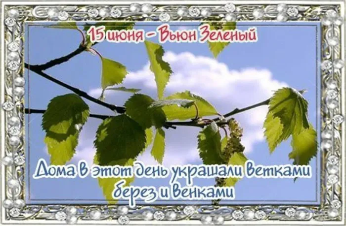 Картинки Вьюн Зеленый (11 открыток). 