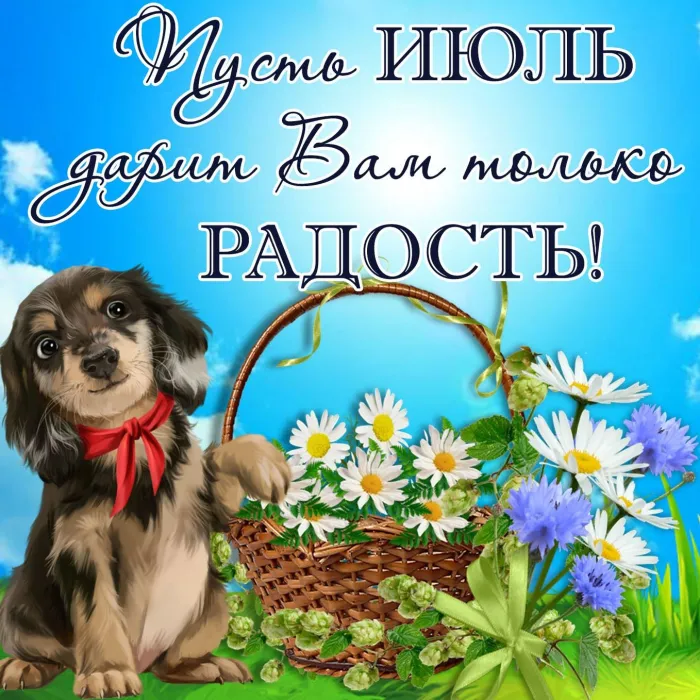 Картинки с первым днем июля (75 открыток). Картинки с надписями