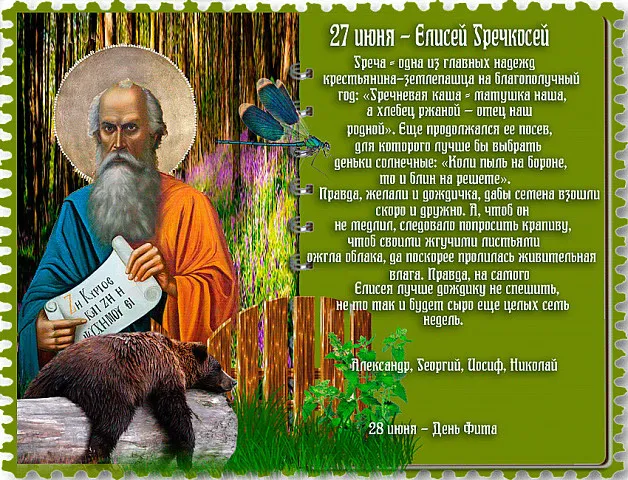 Картинки Елисей Гречкосей (16 открыток). Картинки с надписями