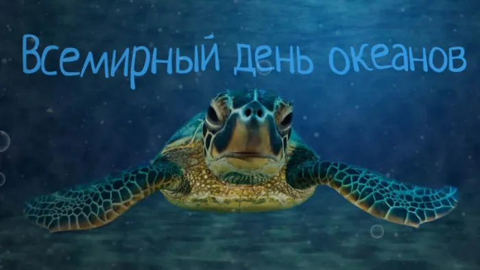 Картинки со Всемирным днем океанов (55 открыток). Красивые открытки